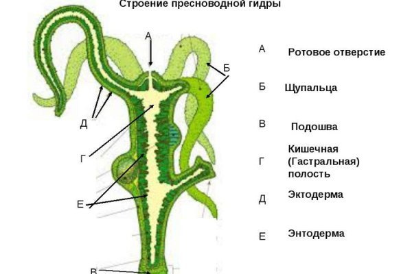 Площадка mega tor