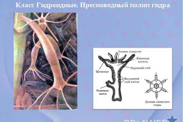 Мега официальный сайт нарк